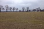 Kopalnia  Piasku ok/Biała Podlaska Pozwolenia 12ha przy drodze 811