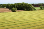 Kupię 20-30 ha gruntu w miastach lub okolicy: Olkusz, Mysłowice, Chrzanów