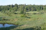 Kupię siedlisko/młyn/stajnie/10 hektarów nad wodą w Mazowieckim, Łódzkim lub Kujawsko-Pomorskim