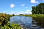 Kupię siedlisko/młyn/stajnie/10 hektarów nad wodą w Mazowieckim, Łódzkim lub Kujawsko-Pomorskim