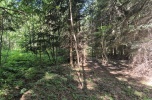 Las na sprzedaż 30 ar gm Grybów