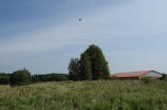 Mierzeszyn stadnina koni z możliwością adaptacji na inną działalność