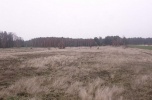 Nieruchomość 25 000 m2 Uniejów