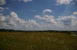 Nieruchomość inwestycyjna. Działka siedliskowa. Las.