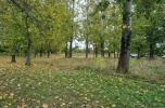 Nieruchomość komercyjna
