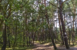 Ośrodek wypoczynkowy w Sobieszewie