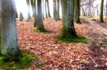 Piękny pałac nad Drawą
