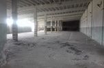 Pilnie - dla inwestora - hala 12.000 mkw + 1,7 ha gruntu przemysłowego (120 zł/mkw hali)