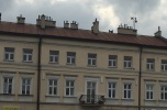 Rzeszów Grottgera 22 – lokale usługowe