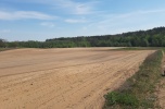 Siedlisko nad rzeką, kujawsko-pomorskie