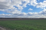 Sprzedam 1,29 ha pod farmę fotowoltaiczną pod Serockiem
