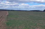 Sprzedam 1,29 ha pod farmę fotowoltaiczną pod Serockiem