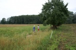 Sprzedam 15,43 h