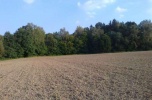 Sprzedam działkę budowlaną 10,61ar