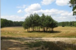 Sprzedam działkę budowlaną 2,7132 ha 7 km od Nieporętu, 26 km od Warszawy - Wólka Radzymińska
