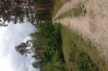Sprzedam działkę leśną 17500 m2