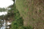 Sprzedam działkę leśną 17500 m2