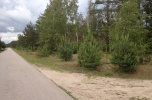 Sprzedam działkę leśną 17500 m2