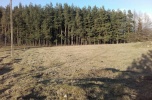Sprzedam działkę rolną na suwalszczyźnie z mozliwoscią budowy siedliska