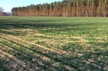 Sprzedam działkę