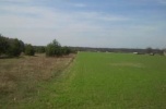 Sprzedam działki 8600m2
