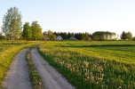 Sprzedam gospodarstwo rolne