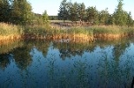 Sprzedam grunt inwestycyjny, rekreacyjno - wypoczynkowy
