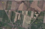 Sprzedam grunty rolne -Konary, Węglewo, Stryjno, Smogorzów Wlk, Korzeńsko