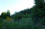 Sprzedam las oraz grunt rolny 9,13ha