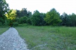 Sprzedam las oraz grunt rolny 9,13ha