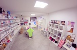 Sprzedam lokal w centrum Torunia