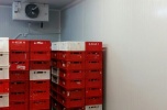 Sprzedam nieruchomość pod zakład produkcyjny, branża spożywcza