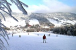 Sprzedam  ośrodek narciarski Kamianna-Ski