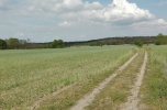 Sprzedam piaskownię w Raszowej ok. budowy S3