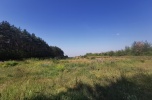 Sprzedam teren po żwirowni pod Koninem, Wielkopolska