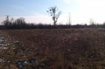 Sprzedam / wydzierżawię działkę - teren inwestycyjny