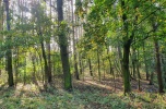Sprzedam ziemię rolną z lasem nad rzeką