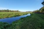 Sprzedam ziemię rolną z lasem nad rzeką