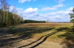 Sprzedam złoże piasku kwarcowego / beton komórkowy, 7,6 ha, Mazury