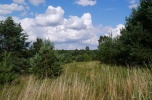 Sprzedam żwirownię 16ha, Niemirów, Gm. Mielnik