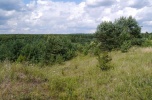 Sprzedam żwirownię 16ha, Niemirów, Gm. Mielnik