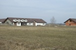 Stadnina koni