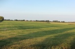 Stary Widzim koło Wolsztyna 7,5 hektara