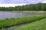 Stawy hodowlane 20ha
