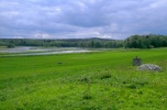 Stawy hodowlane 20ha