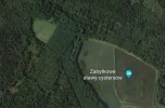 Stawy hodowlane 20ha