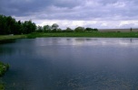 Stawy hodowlane 20ha
