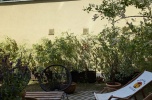 Studio, pracownia, gabinet lekarski, apartament dla konesera
