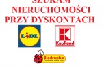 Szukam lokali w bezpośrednim sąsiedztwie dyskontów takich jak Lidl Biedronka Kaufland