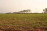 Trzy działki połączone ze sobą 7 metrową drogą